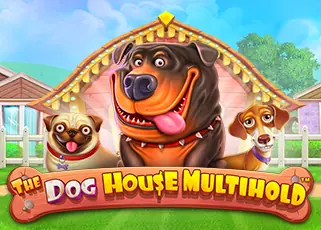 diamond678 The Dog House Multihold ทดลองเล่นฟรี