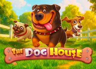 diamond678 The Dog House ทดลองเล่นฟรี
